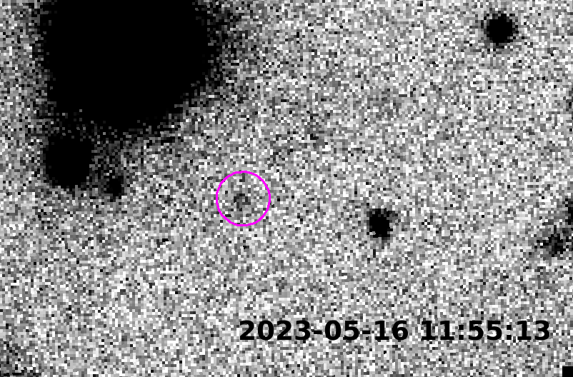 This animation shows the motion of 2023 KQ14 (“Ammonite”) over several hours. Photo credit: NAOJ, ASIAA.